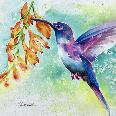 Watercolor of Hummingbird